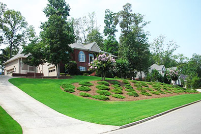 Landscape Maintenance & Lawn Mowing