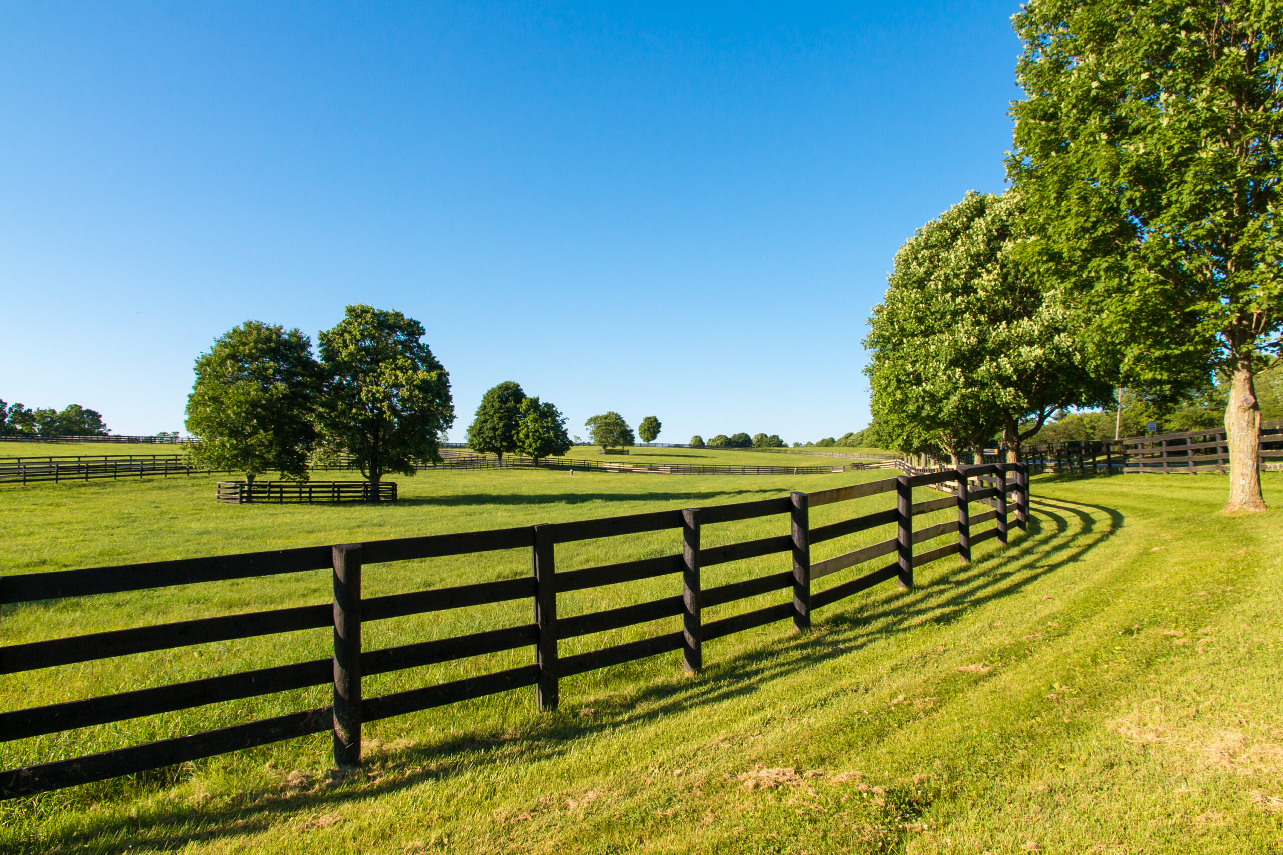 Wood Fence Installation In Paulding County