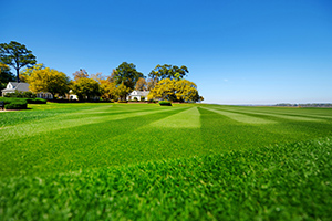 Beautiful lawn in Franklin NC