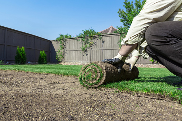 Sod installation service franklin