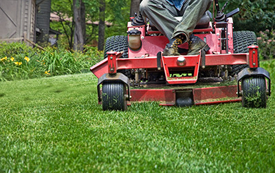 lawn mowing service